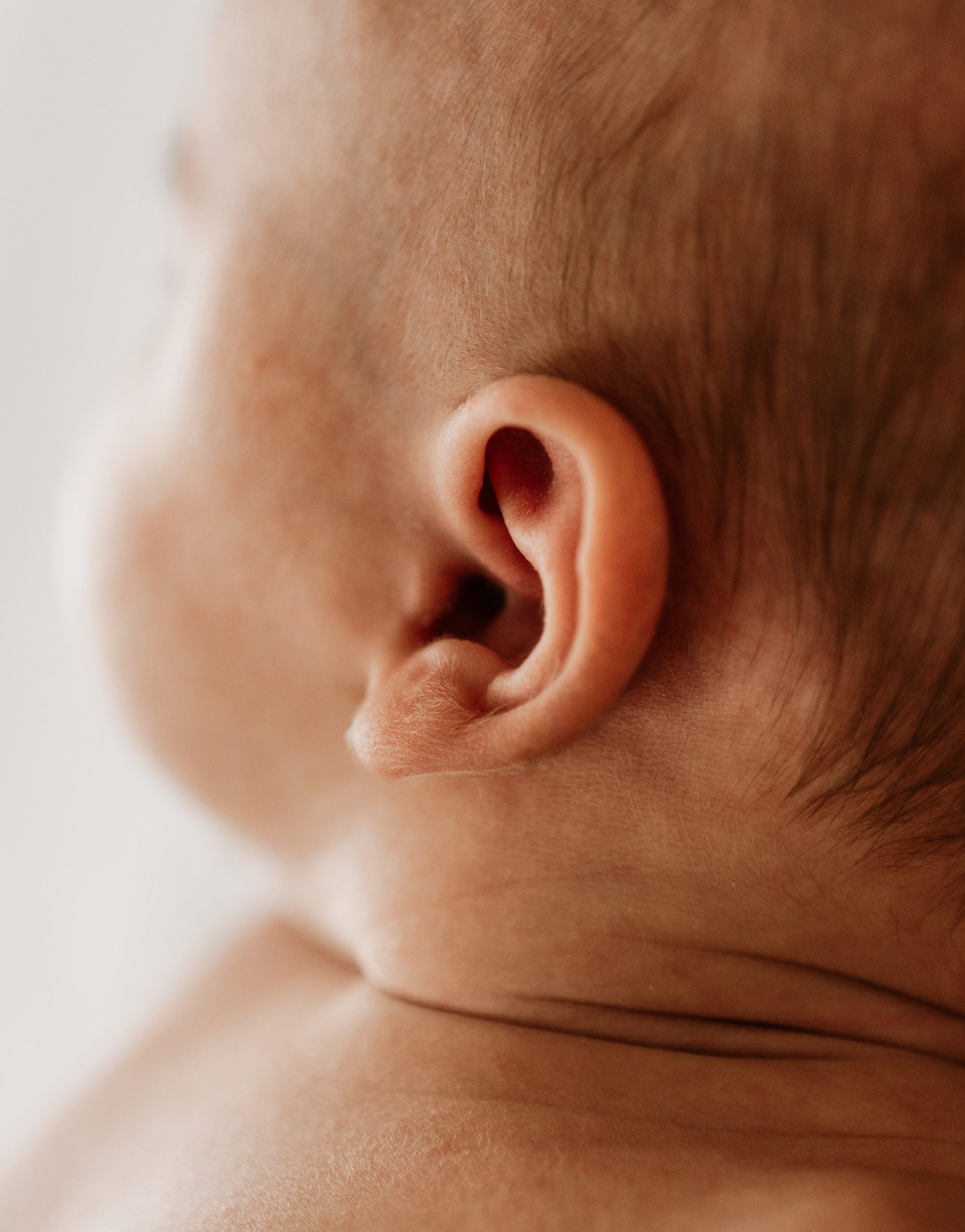 Neugeborenenshooting Ohr Detail
